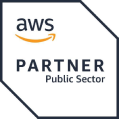 AWS partner public sector