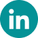 LinkedIn social icon